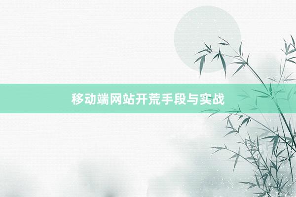 移动端网站开荒手段与实战