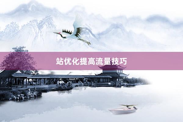 站优化提高流量技巧