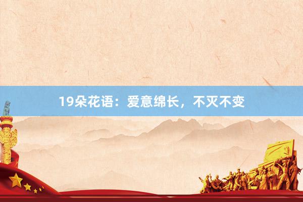 19朵花语：爱意绵长，不灭不变