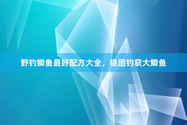 野钓鲫鱼最好配方大全，稳固钓获大鲫鱼
